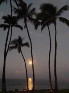 Maui full moon